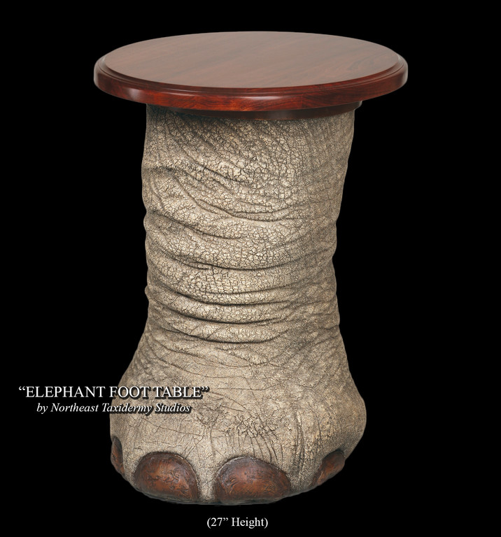 Elephant Foot Table Mount, Elephant Foot Table Taxidermy