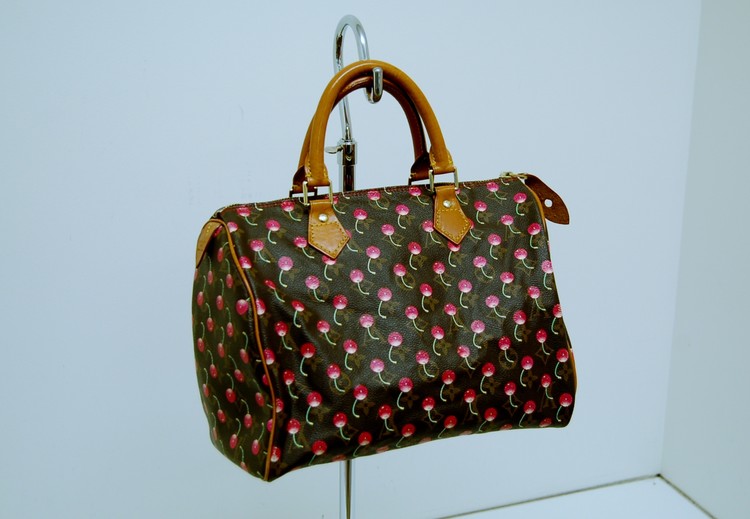 Best Louis Vuitton Cherry Blossom for sale in Ringgold, Georgia