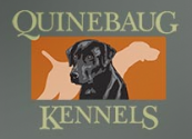 New England’s Premiere Dog Care Facility For all Your Training & Boarding Needs