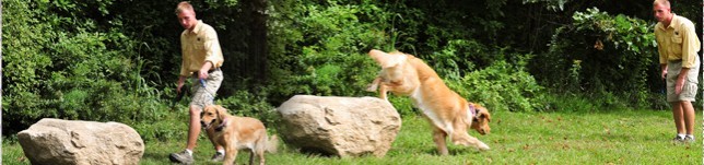 Boot Camp Training Program