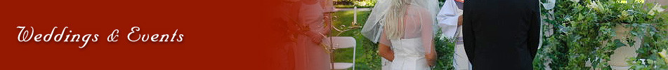 Weddings & Events
