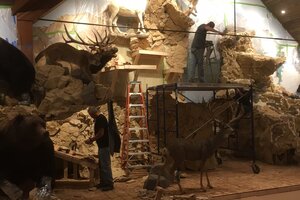 Custom In-Home Mountain Build Taxidermy Design