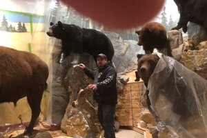 Mountain Build Taxidermy Design