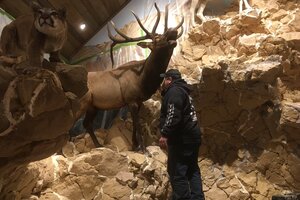Individual Mountain Builds