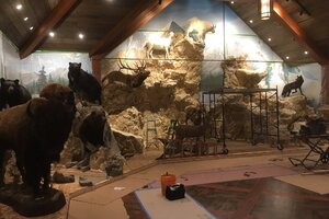 Mountain Build Taxidermy Design