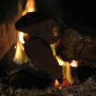 https://uploads.gocdn.us/13/41/BioBricks%20Burning.JPG