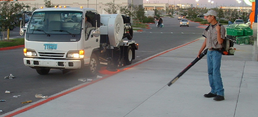 Litter Sweeping