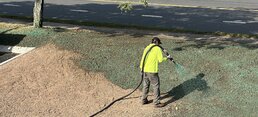 Hydroseeding