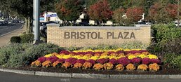 Full Service Landscaping