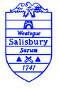Salisbury CT Electrician