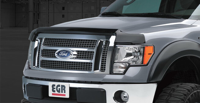 Truck Bug Guard