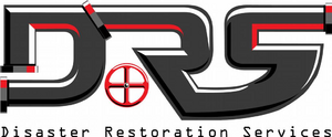Palm Tree Generates More Than 2,000 qualified leads for Disaster Restoration Services through Proper Web Design & Internet Marketing Strategy