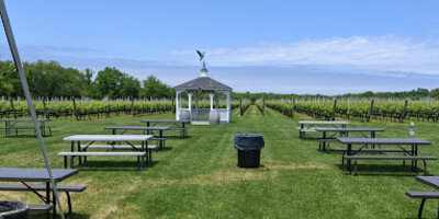 Duck Walk Vineyards