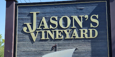 Jason's Vineyard