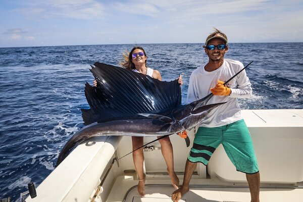 Sailfish Mounts