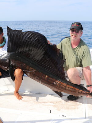 Sailfish Mounted for Sailfish Taxidermy