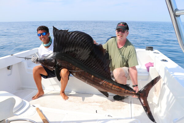 Sailfish Mounted for Sailfish Taxidermy