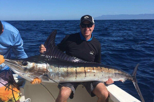 Striped Marlin Replica mount