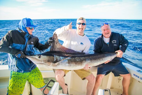 Striped Marlin Reproduction Mount
