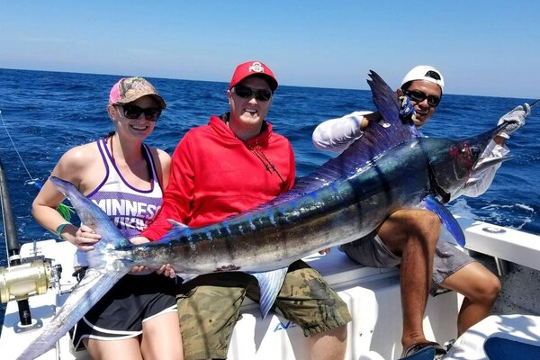 Blue Marlin replica fish mount