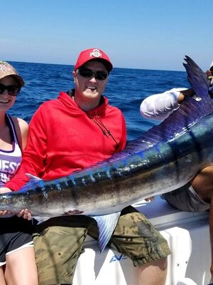 Blue Marlin replica fish mount