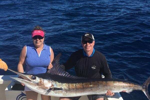 Blue Marlin Taxidermy