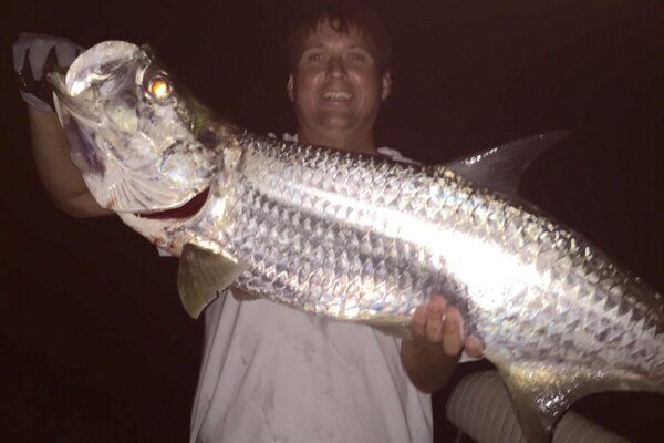 Tarpon Taxidermy Fish Mount