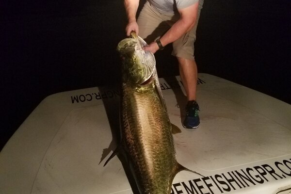 Tarpon reproduction taxidermy mount