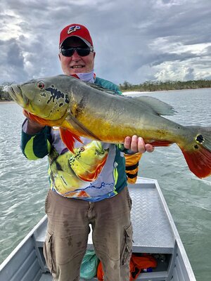 Peacock Bass replica fish mount