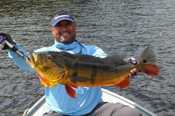 Replica peacock bass fish mount