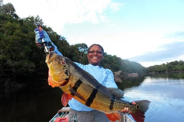 Peacock bass fish replica