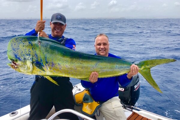 Mahi reproduction fish mount
