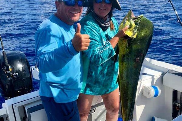 Mahi-Mahi replica fish mount