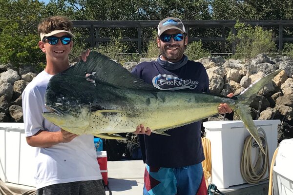 Mahi replica fish mount