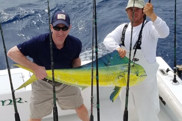 Mahi-mahi reproduction fish mount