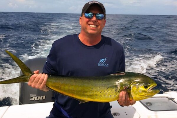 Reproduction Mahi mount