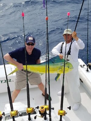 Mahi mahi replica fish mount