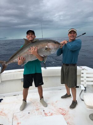 Amberjack replica fish mount