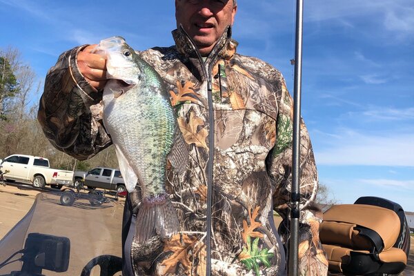Calico Bass replica mount