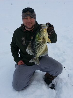 Replica mount Calico Bass