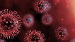 TPS Group Statement On COVID-19 Outbreak