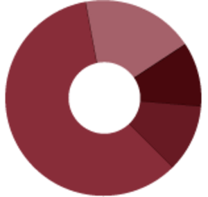 Asset Management Consulting