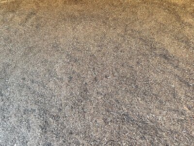 Bedding/Sawdust Projects.