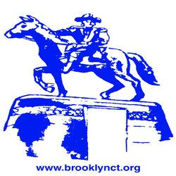 {town} CT Electrician